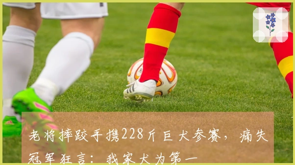 老将摔跤手携228斤巨犬参赛，痛失冠军狂言：我家犬为第一