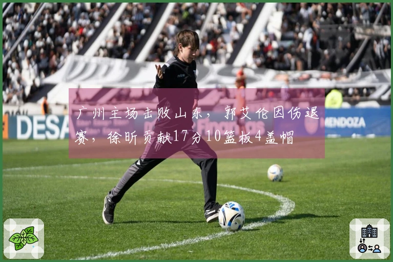 广州主场击败山东，郭艾伦因伤退赛，徐昕贡献17分10篮板4盖帽