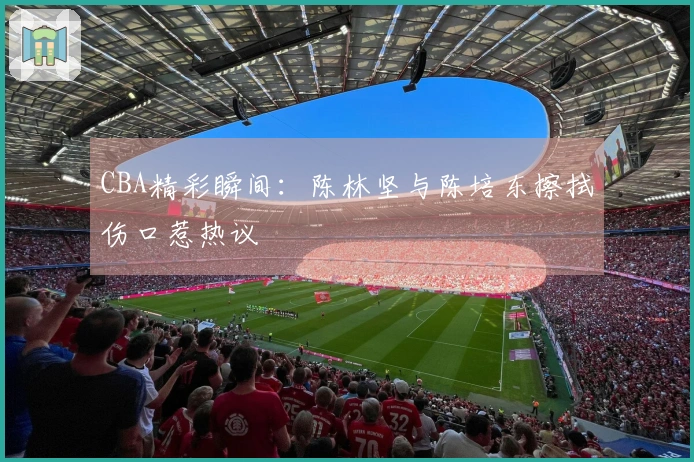 CBA精彩瞬间：陈林坚与陈培东擦拭伤口惹热议