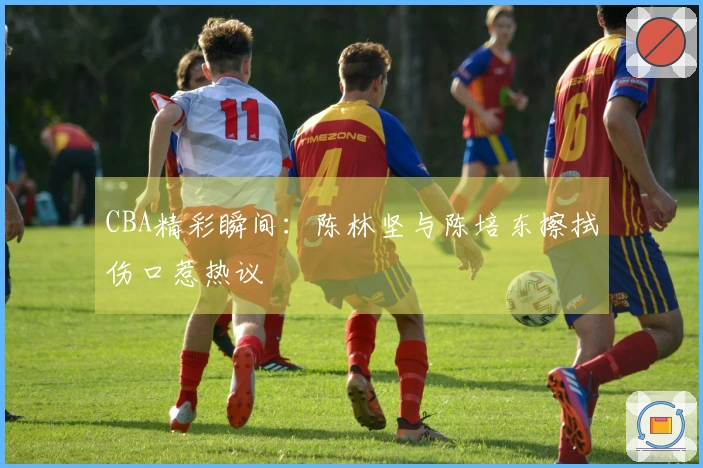CBA精彩瞬间：陈林坚与陈培东擦拭伤口惹热议